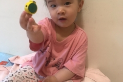 鄒小妹擇日案例