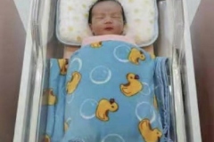巨門在子宮，典型的石中隱玉格