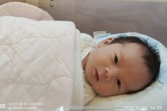 巨門在子宮，典型的石中隱玉格